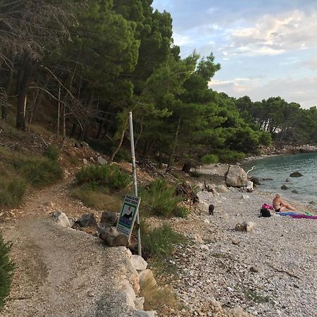 Blue Shell Trogir Apartment Bilik gambar
