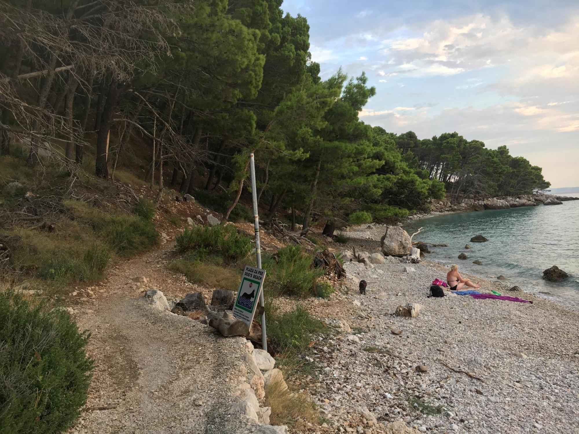 Blue Shell Trogir Apartment Bilik gambar